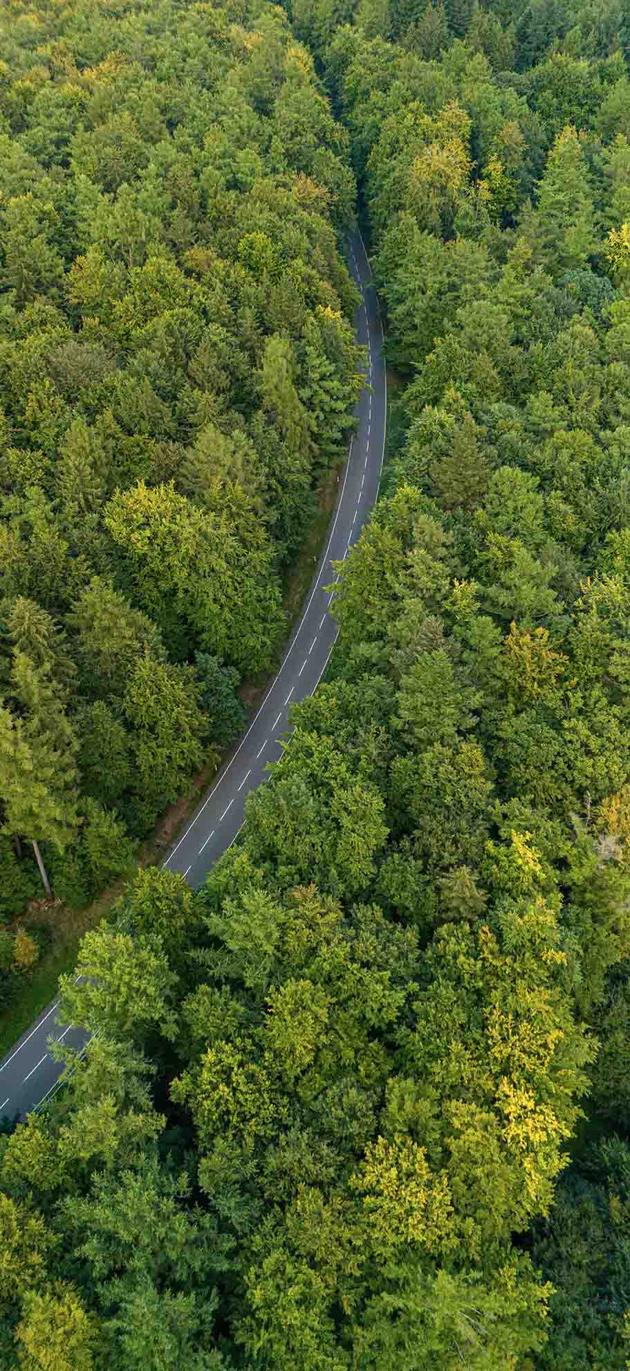 高空航拍视角 茂密阔叶森林 蜿蜒林间公路 深浅层次绿调植被 清新自然 竖版风景 手机静态壁纸